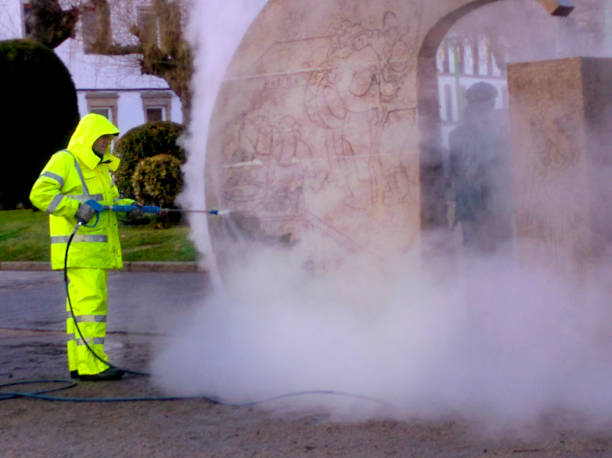 Best Pressure Washing Near Me  in Carencro, LA